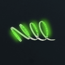 LED strip — individual diodes